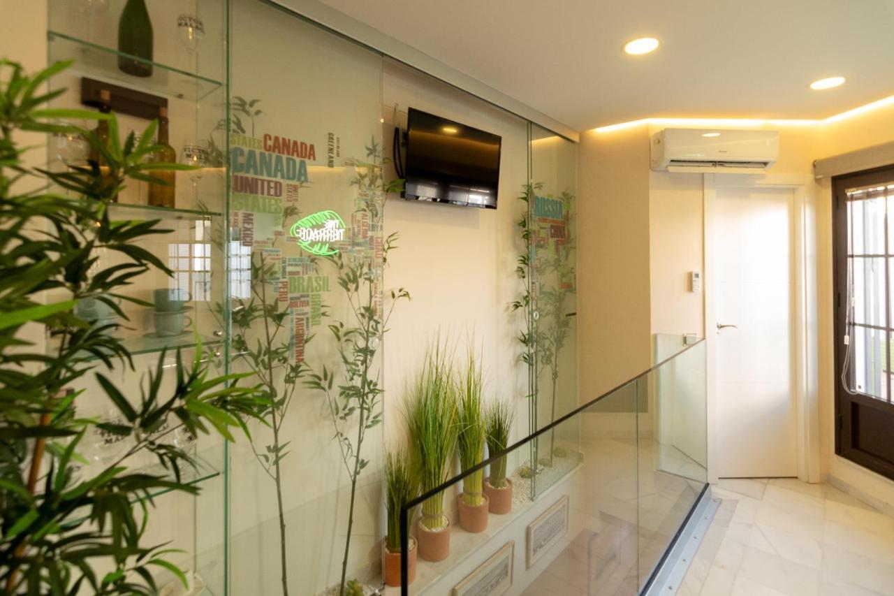 The Terrace, Duplex Con Terraza Privada Daire Sevilla Dış mekan fotoğraf